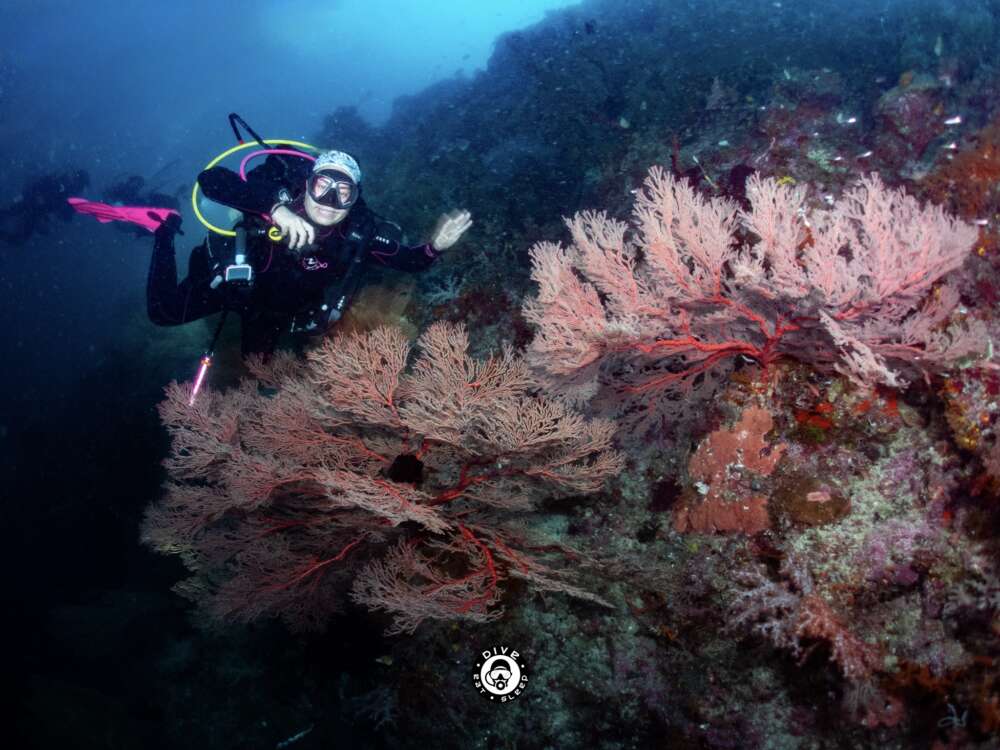 Avatar for Tricia Crabtree